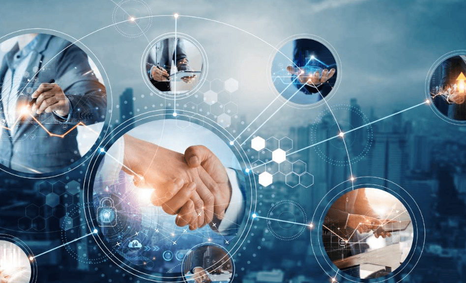 Blueprint of Vitality