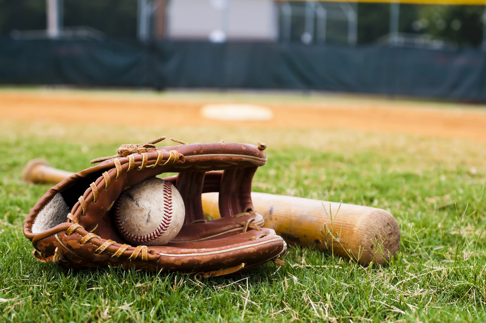Shop High-Performance Baseball and Pickleball Equipment